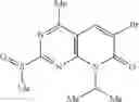 Fig. 40 - 4-methylpyridopyrimidinone compounds