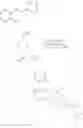 Fig. 69 - Fused and spirocycle compounds and the use thereof