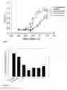 Fig. 05 - Micelle composition of polymer and passenger drug