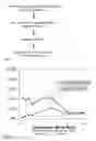 Fig. 09 - Micelle composition of polymer and passenger drug