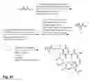 Fig. 22 - Micelle composition of polymer and passenger drug