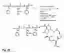 Fig. 23 - Micelle composition of polymer and passenger drug