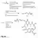 Fig. 24 - Micelle composition of polymer and passenger drug