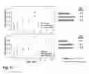 Fig. 26 - Micelle composition of polymer and passenger drug