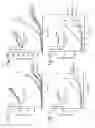 Fig. 09 - Calixarene-based peptide conformation mimetics, methods of use, and methods of making