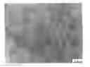 Fig. 01 - Polybutadiene, modified polybutadiene, method for producing both, and rubber-reinforced styrene resin composition using same