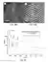 Fig. 24 - Direct hierarchical assembly of nanoparticles