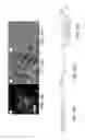 Fig. 25 - Direct hierarchical assembly of nanoparticles