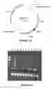 Fig. 08 - Method of reducing glycosylation of proteins, processes and proteins thereof