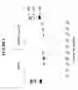 Fig. 06 - SMALL RNA PURIFICATION