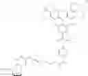 Fig. 42 - Propargyl substituted nucleoside compounds and methods