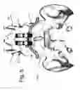 Fig. 06 - DEVICE AND METHOD FOR THE PREVENTION OF MULTI-LEVEL VERTEBRAL EXTENSION