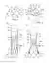 Fig. 02 - System and method for treating valve insufficiency or vessel dilatation