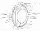 Fig. 01 - Intraocular lens