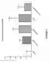 Fig. 04 - Methods and compositions to enhance bone growth comprising a statin