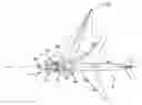 Fig. 01 - Plane tractor