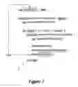 Fig. 07 - Editor visualization of symbolic relationships