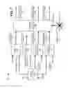 Fig. 11 - Scanning and selecting an antenna beam provided in fixed wireless customer premises equipment