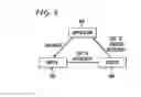 Fig. 07 - System and method for preserving references in sandboxes
