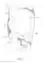 Fig. 06 - Padding system