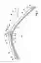 Fig. 02 - WIPER BLADE, IN PARTICULAR FOR WINDOWS OF MOTOR VEHICLES, AND METHOD FOR PRODUCING A WIPER BLADE