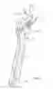 Fig. 02 - Adjustable wrench