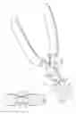 Fig. 02 - Jewelry mandrel pliers and method of using same