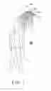 Fig. 02 - Extendible or expandable shower device