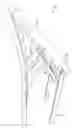Fig. 01 - Folding chair