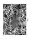 Fig. 05 - Lithium-ion batteries with nanostructured electrodes and associated methods of making