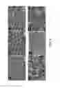 Fig. 11 - Lithium-ion batteries with nanostructured electrodes and associated methods of making