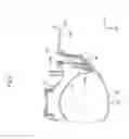 Fig. 10 - Front structure of straddle type vehicle