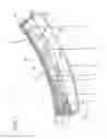 Fig. 02 - Vehicular Lamp