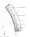 Fig. 05 - Vehicular Lamp