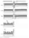 Fig. 02 - Ridge semiconductor laser and method for manufacturing a ridge semiconductor laser
