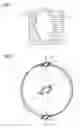 Fig. 02 - RADIATION THERAPY DEVICE AND METHOD FOR GENERATING A RESOLUTION ENHANCEMENT IN IRRADIATED RADIATION-EXPOSURE FIELDS