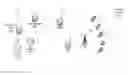 Fig. 01 - Broadcast replenishment of account parameters for groups of wireless devices