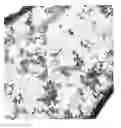 Fig. 01 - DIAMOND PARTICLES AND METHOD FOR OBTAINING DIAMOND PARTICLES FROM AGGREGATE STRUCTURES