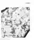 Fig. 03 - DIAMOND PARTICLES AND METHOD FOR OBTAINING DIAMOND PARTICLES FROM AGGREGATE STRUCTURES