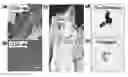 Fig. 01 - Compositions and Methods for Treating and Diagnosing Cancer