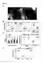 Fig. 02 - ZWITTERIONIC IMMUNOMODULATORS FOR THE TEATMENT OF ASTHMA AND ALLERGY