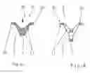 Fig. 07 - Plastic component with a complex and bifurcated structure