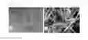 Fig. 02 - NOVEL MICROORGANISM CAPABLE OF PRODUCING OXIDE