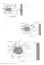 Fig. 05 - Lithium/air battery with variable volume insertion material