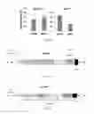 Fig. 08 - Alternative splicing constructs and methods of use
