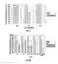 Fig. 02 - Hyperglycosylated hCG detection device