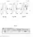 Fig. 04 - Video game processing apparatus and video game processing program