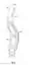 Fig. 04 - Lacrosse head and stick