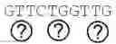 Fig. 83 - Methods for indexing samples and sequencing multiple polynucleotide templates