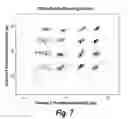 Fig. 08 - NUCLEIC ACID DETECTION AND QUANTIFICATION BY POST-HYBRIDIZATION LABELING AND UNIVERSAL ENCODING